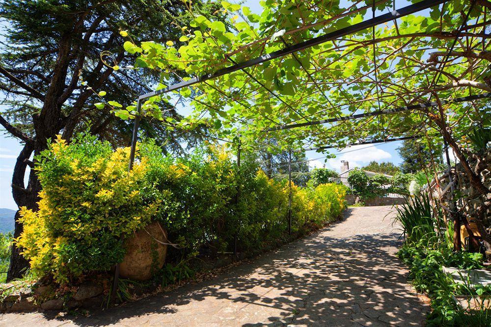 Oasi Verde Castiglione Chiavarese Экстерьер фото
