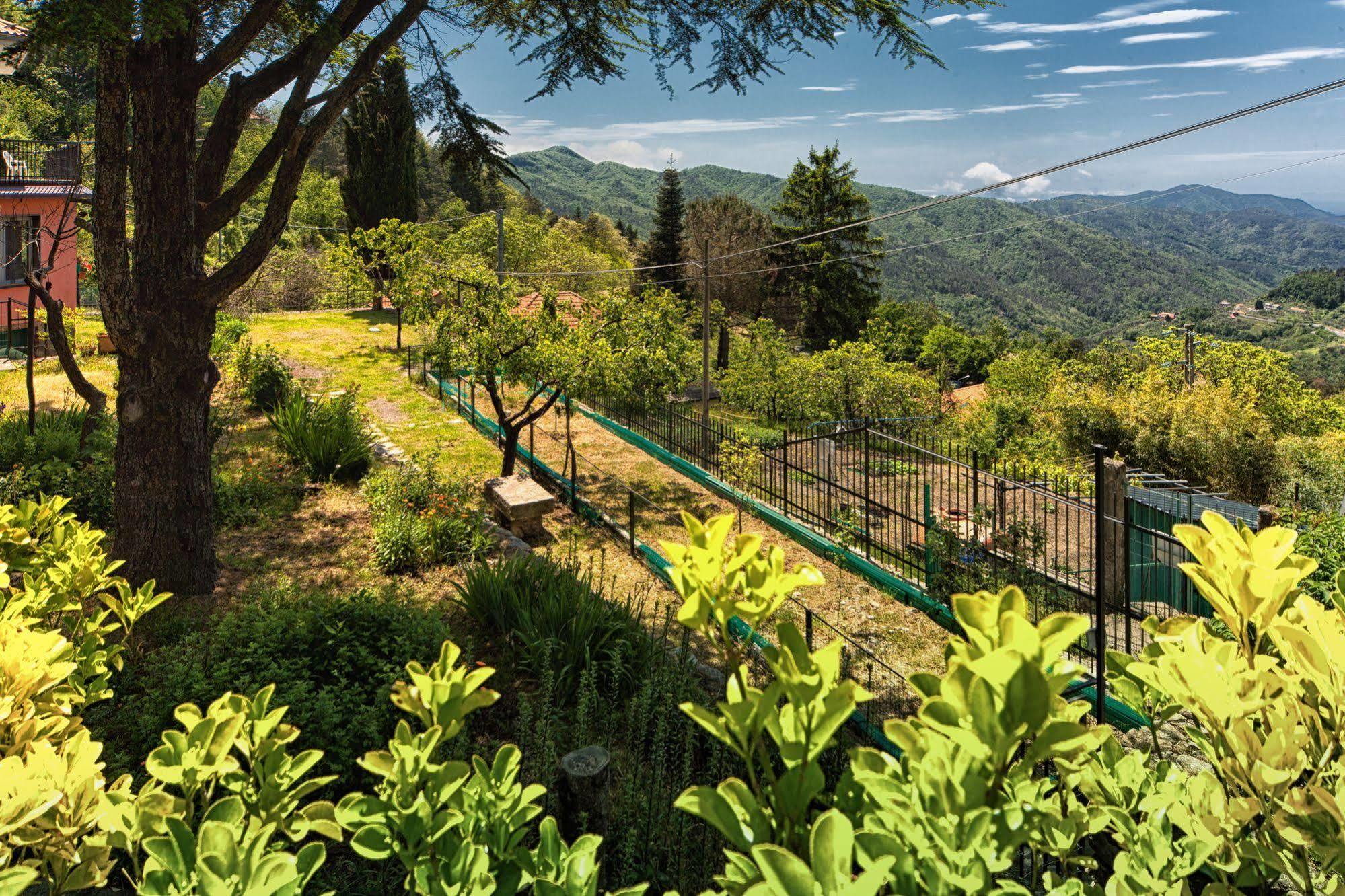 Oasi Verde Castiglione Chiavarese Экстерьер фото