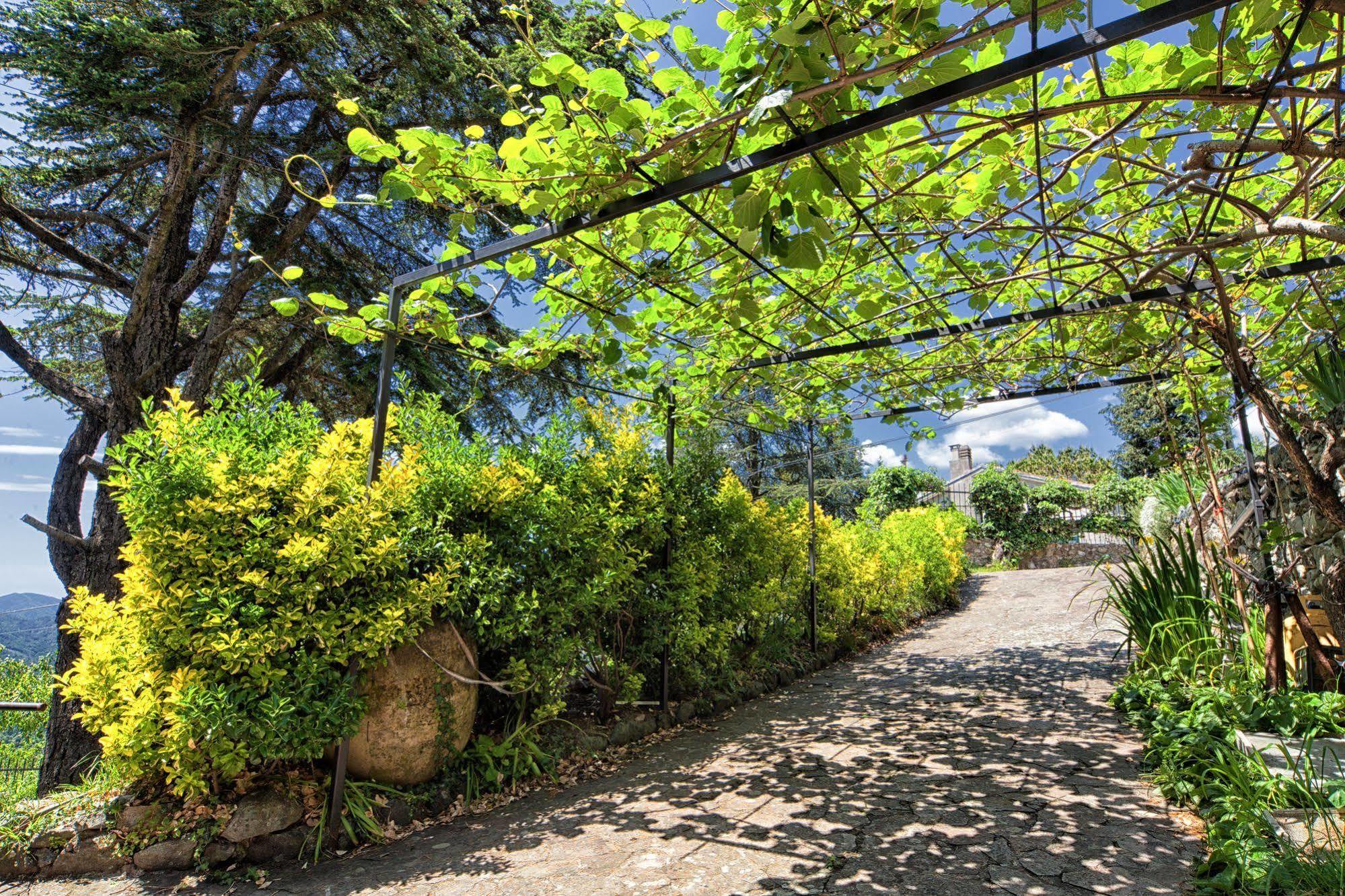 Oasi Verde Castiglione Chiavarese Экстерьер фото